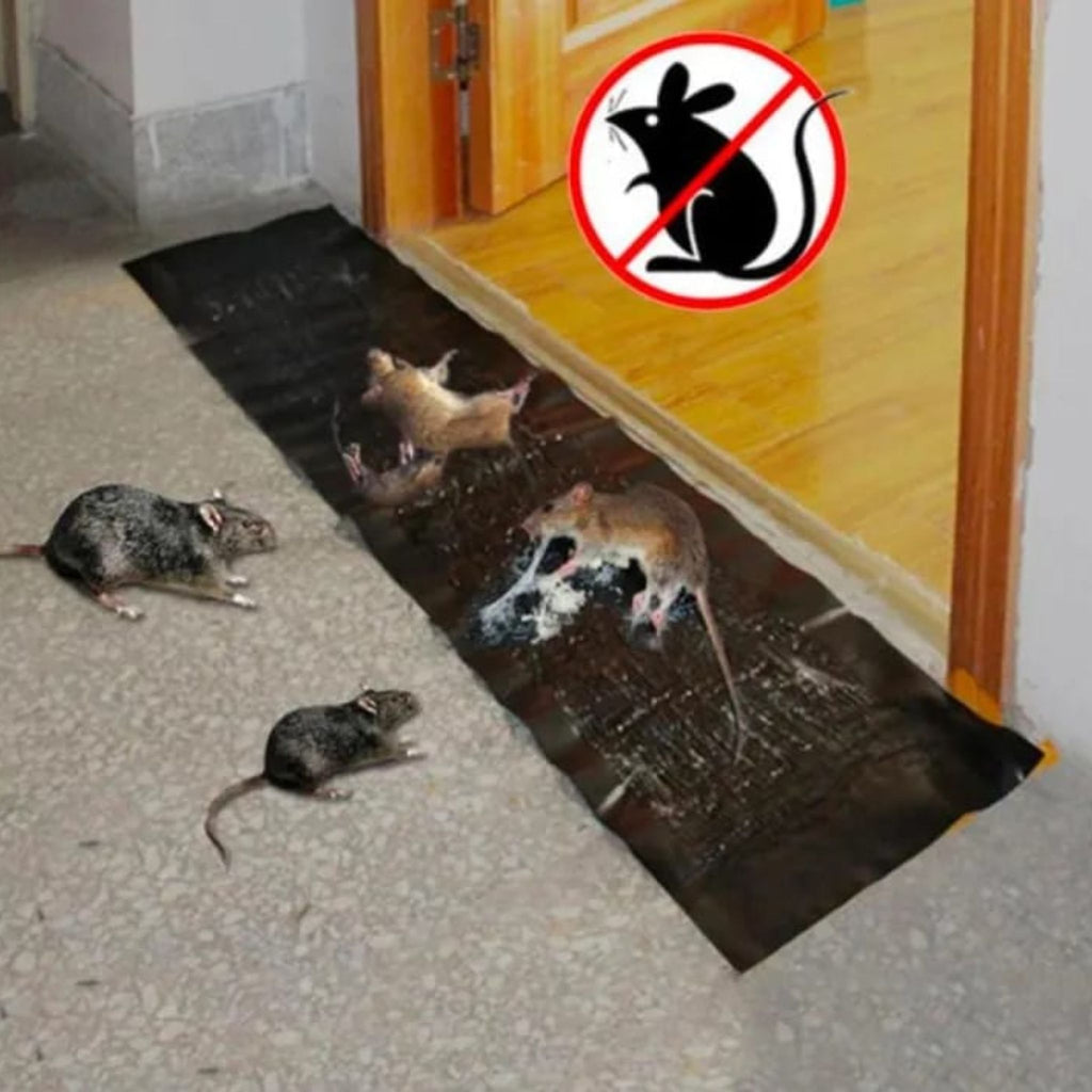 Big Size Mouse Glue Traps - Heavy Duty Rat Traps